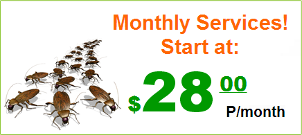 Monthly Services! Start at:$28.00 P/month
